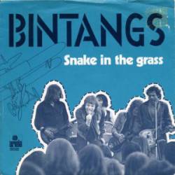 Bintangs : Snake in the Grass - Floating